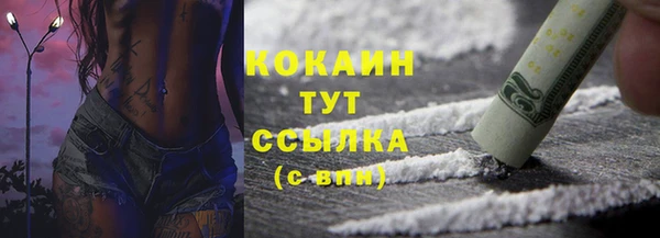 мдпв Надым