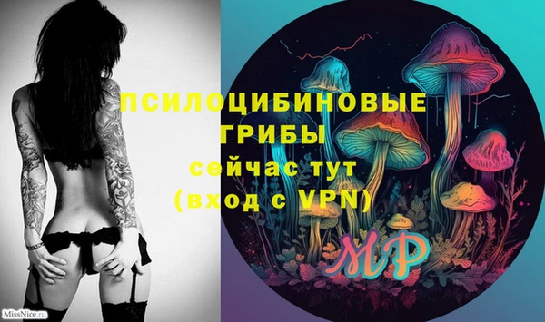 мдпв Надым