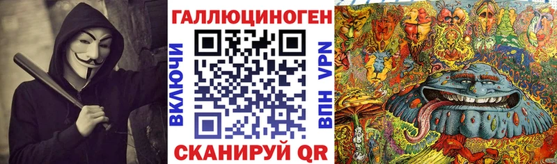Купить  Кувшиново  Псилоцибиновые грибы Psilocybe 